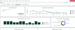Tester un logiciel sage vignette